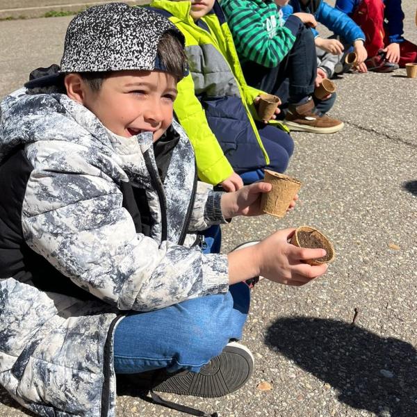 Sonnenblumen züchten