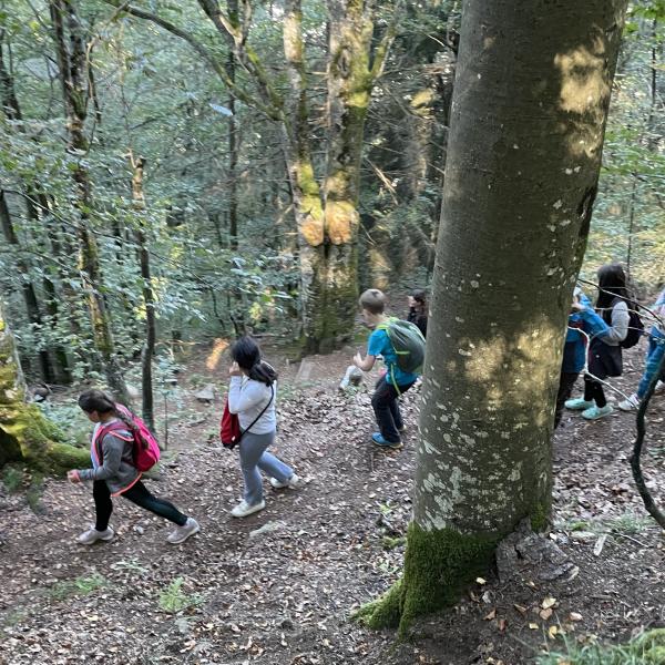 Herbstwanderung Klasse 3