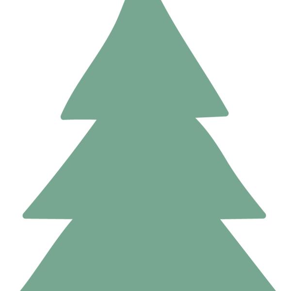 Tanne der Grundschule Oberes Wiesental - Standort Todtnau 