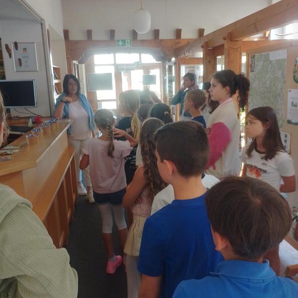 Tourist Info 