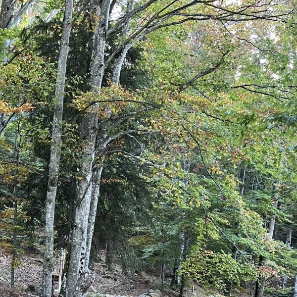 Herbstwanderung